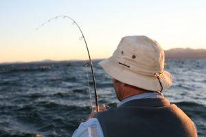 Rec fishing inquiry underway
